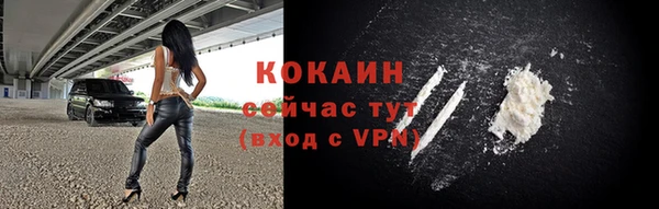 шишки Киренск
