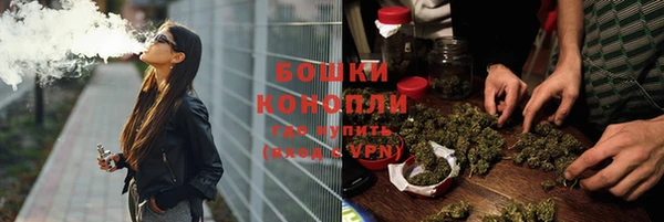 шишки Киренск