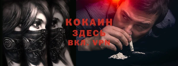 шишки Киренск