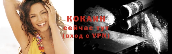 прущие крисы Щигры