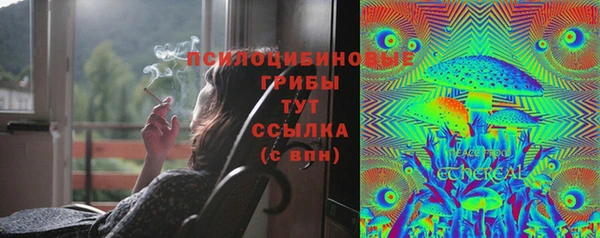 apvp Кинешма