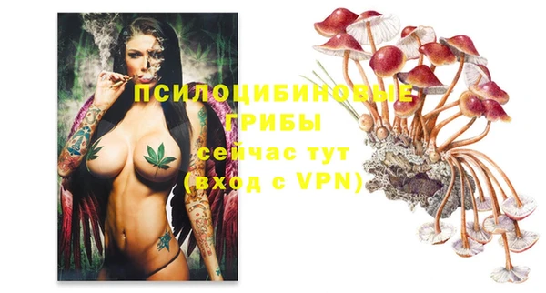 шишки Киренск