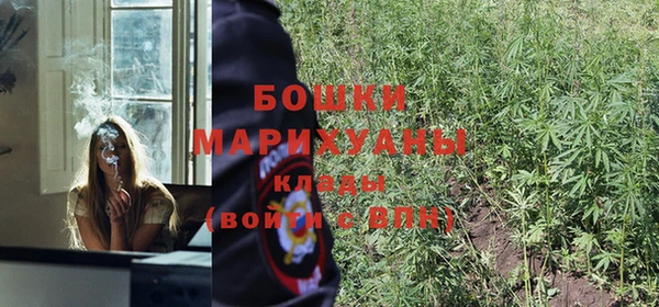 apvp Кинешма