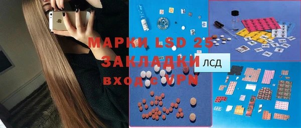 шишки Киренск