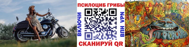 Псилоцибиновые грибы Psilocybine cubensis  kraken зеркало  Артём 